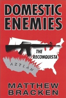 Domestic Enemies by Matthew Bracken